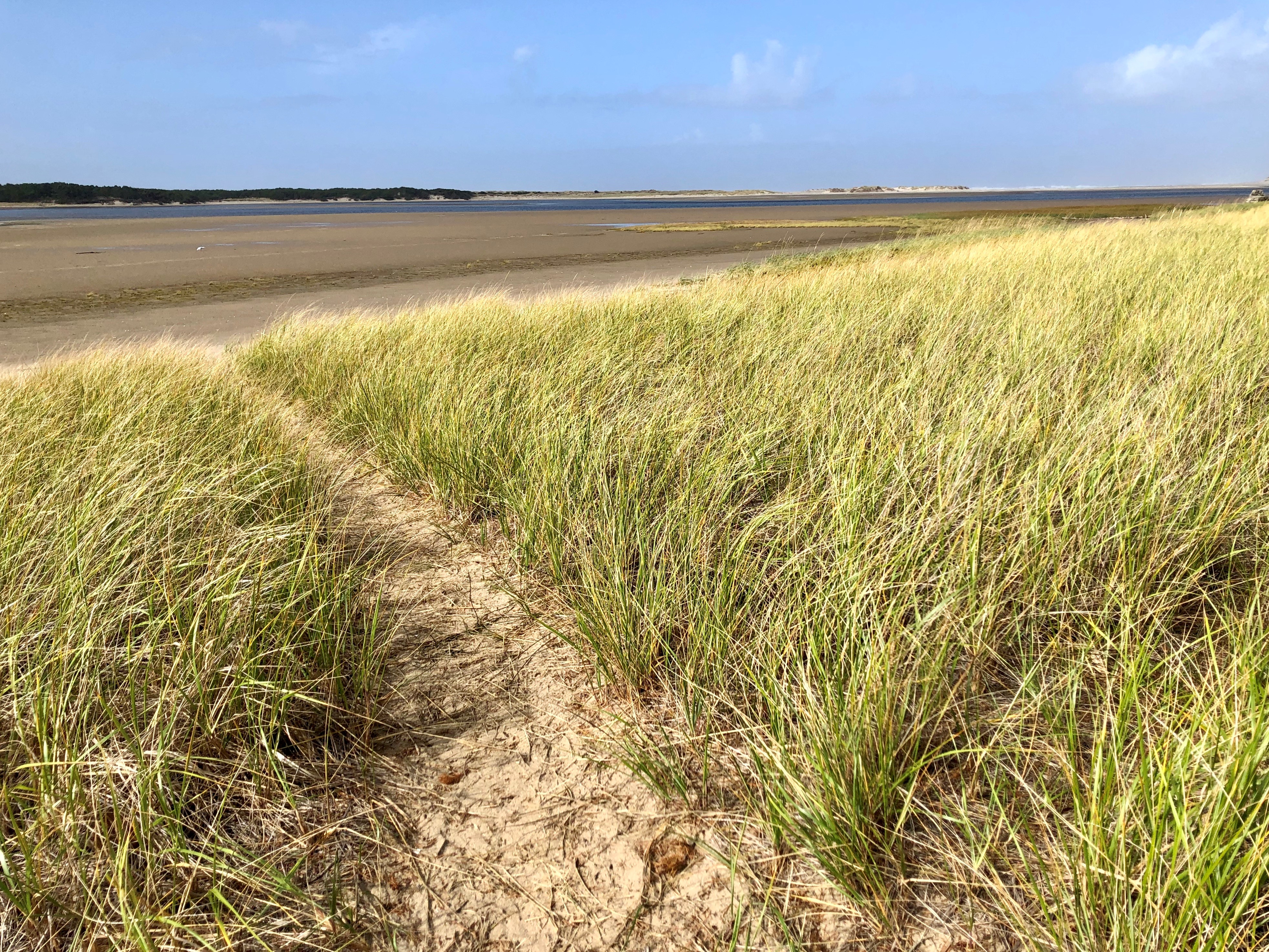 Whalen Island County Park