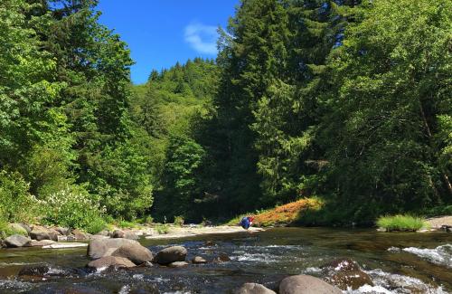 Trask River at Trask River County Campground Day Use Area