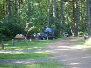 Trask River County Campground
