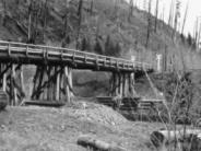 Salmonberry Bridge