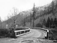 Salmonberry Bridge