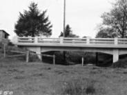 Earl Bridge