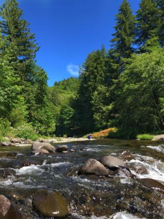 Trask River at Trask River County Campground Day Use Area