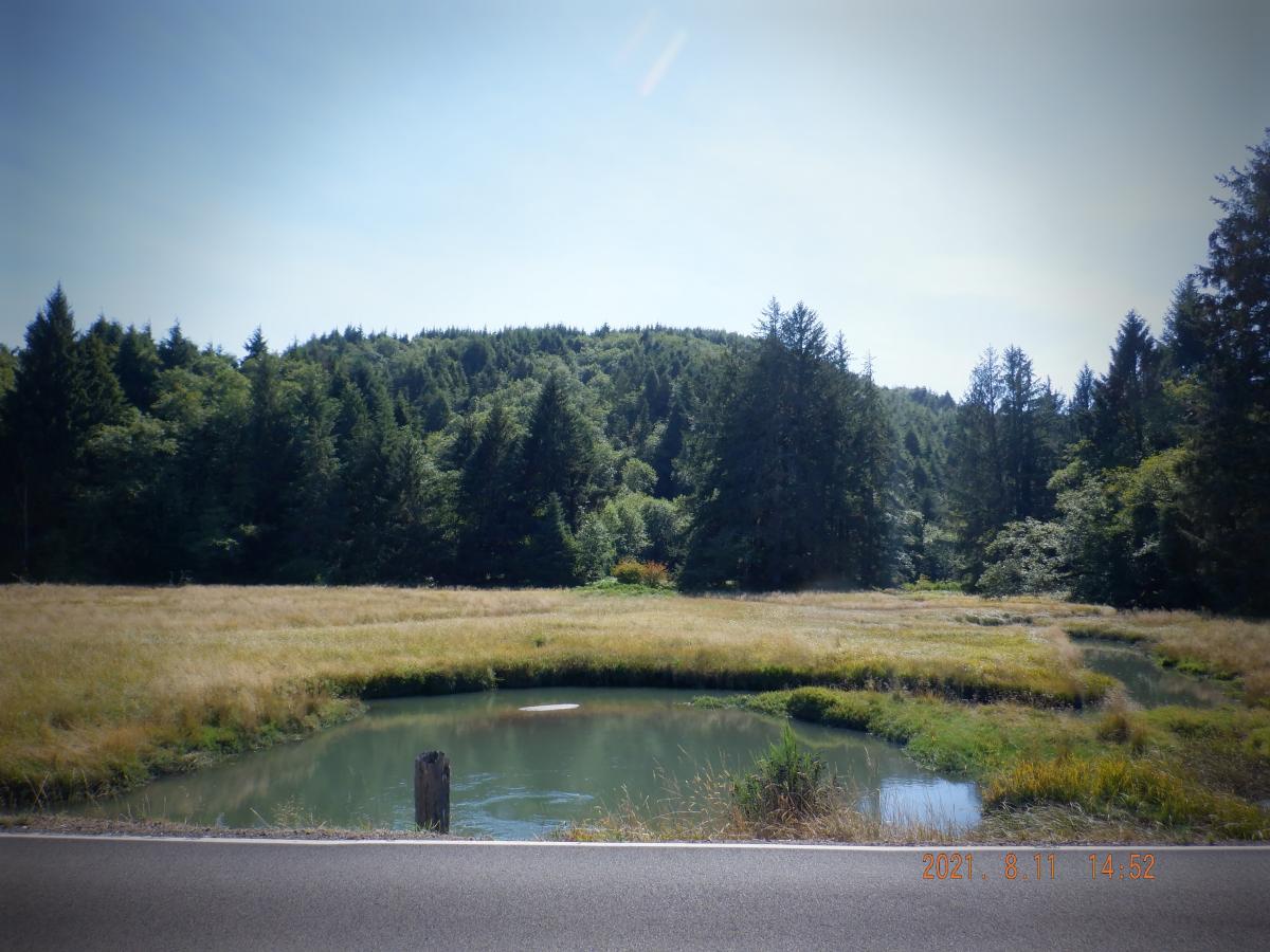 Upstream view of Flowerpot Creek