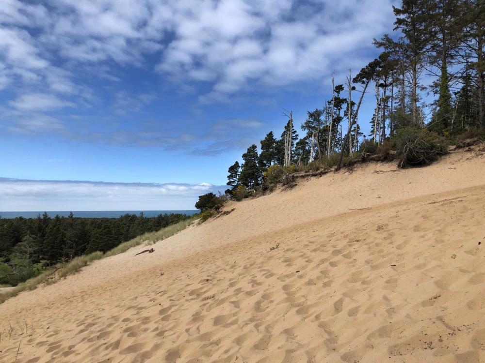 Barview Jetty County Campground | Tillamook County OR
